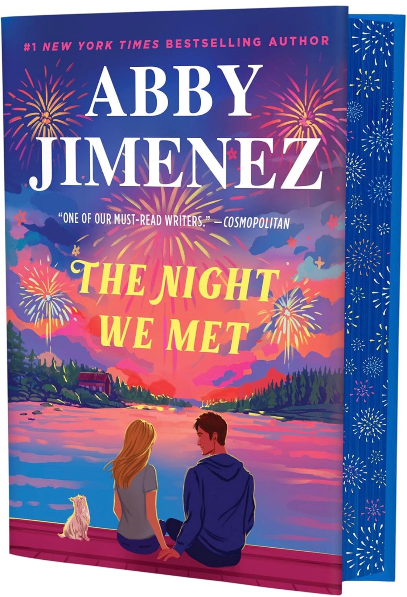 The Night We Met